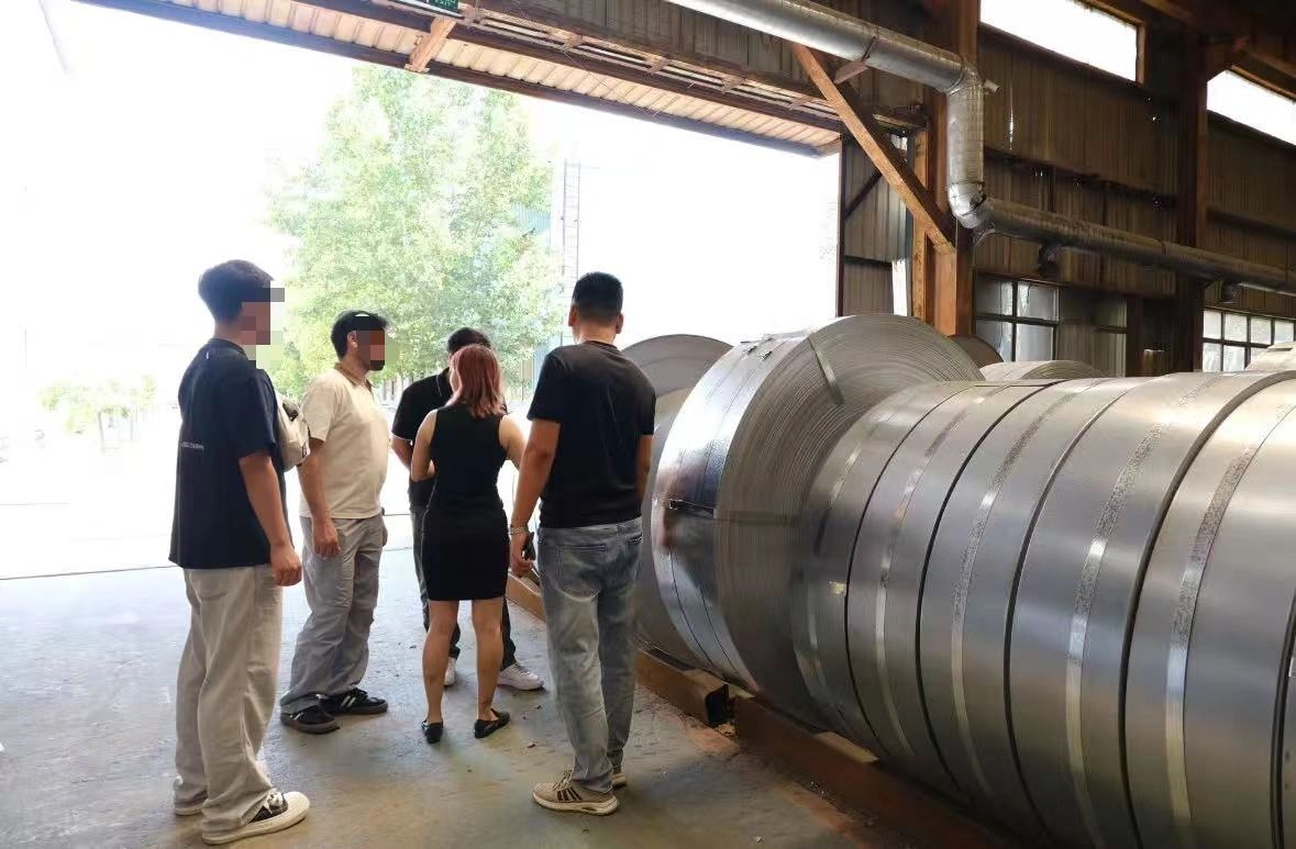 Factory audit - machinery inspection